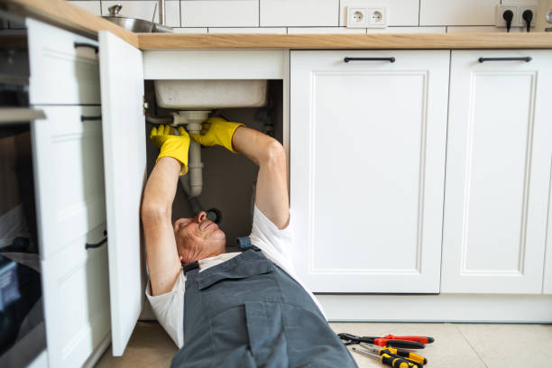 Best Toilet Repair Services  in Southworth, WA